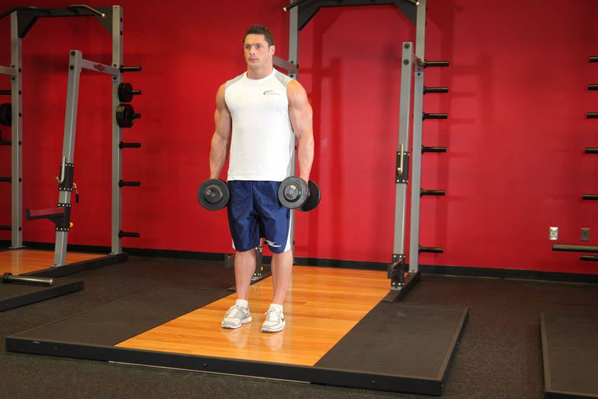 Band Bicep Curl
