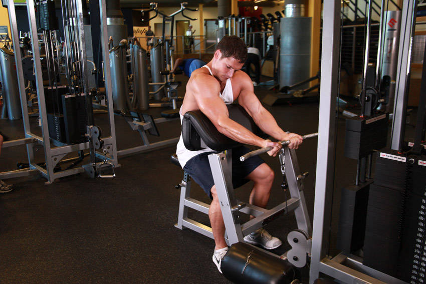 Cable Bicep Curl