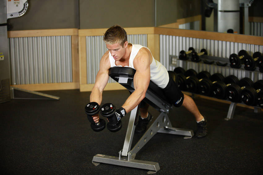 Reverse Fly (Dumbbell)